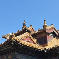 評論圖片 5