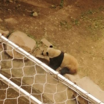 評論圖片 5