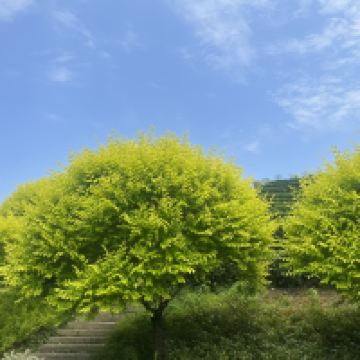評論圖片 5