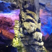 評論圖片 7