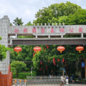 評論圖片 2