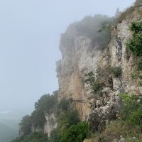 評論圖片 4