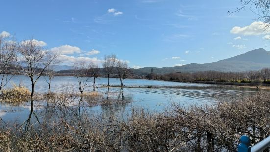 服务/性价比5.0水天共一色，鹤鹭同翩飞！非常美丽的湿地公园