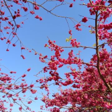 評論圖片 5