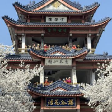 評論圖片 7