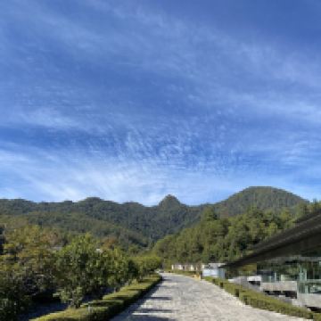 評論圖片 2