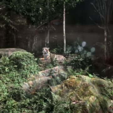 評論圖片 4