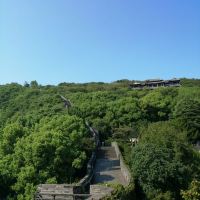 評論圖片 5
