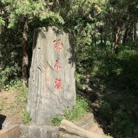 評論圖片 4