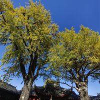 評論圖片 4