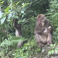 評論圖片 3