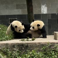 評論圖片 5