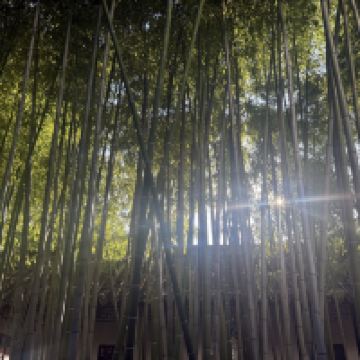 評論圖片 7