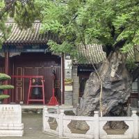 評論圖片 3