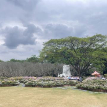 評論圖片 1