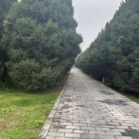 評論圖片 6