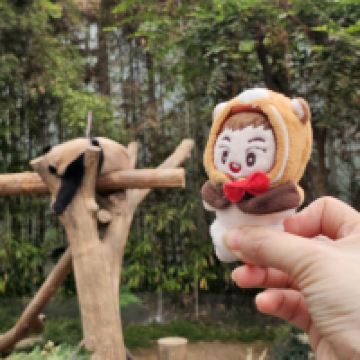 評論圖片 7