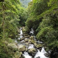 評論圖片 1