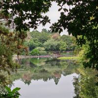 評論圖片 1