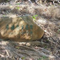 評論圖片 6