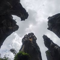 評論圖片 3
