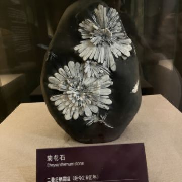 評論圖片 1