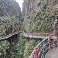 評論圖片 3