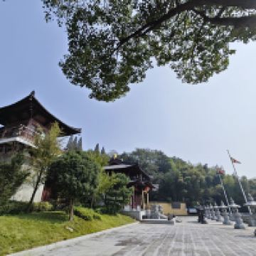 評論圖片 6