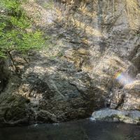 評論圖片 3