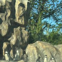 評論圖片 2