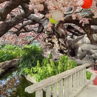 評論圖片 1