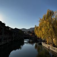 評論圖片 2