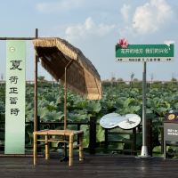 評論圖片 7