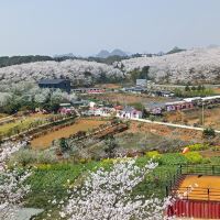 評論圖片 4