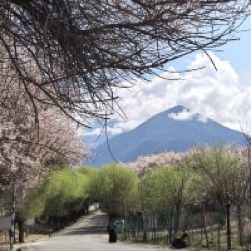 評論圖片 1