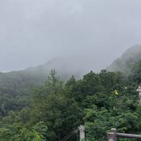 評論圖片 9