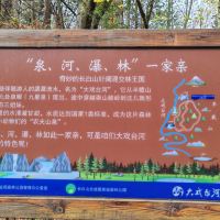 評論圖片 3