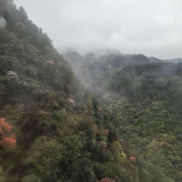 評論圖片 2