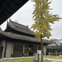 評論圖片 1