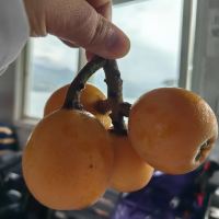 評論圖片 5
