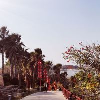 評論圖片 6