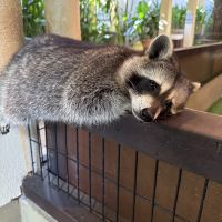 評論圖片 3