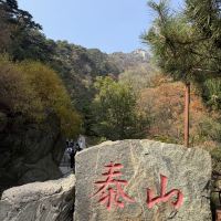 評論圖片 6