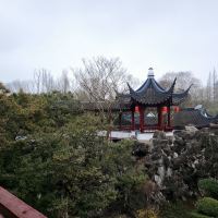評論圖片 5