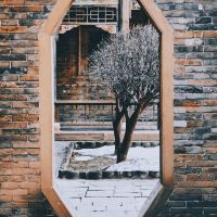 評論圖片 6
