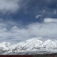 評論圖片 6