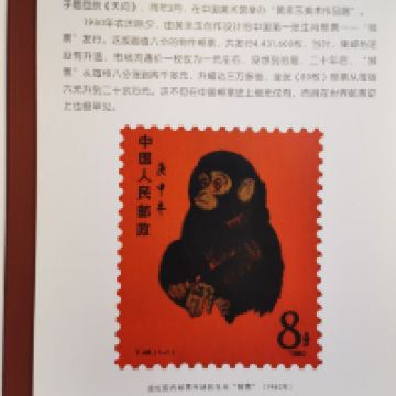 評論圖片 9