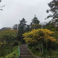 評論圖片 2