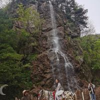評論圖片 1