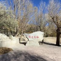 評論圖片 6
